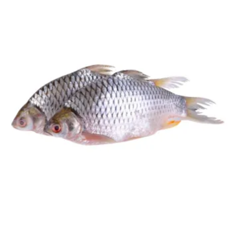 Deshi Puti fish 250gm