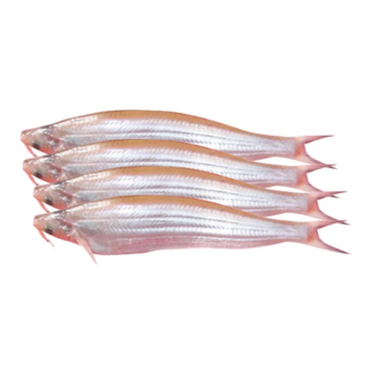 Kajoli fish 250gm