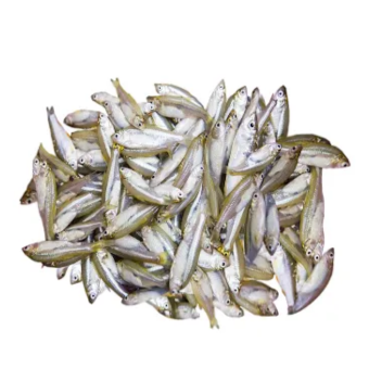 Mola fish 250gm