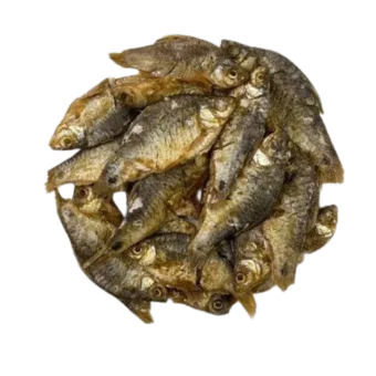 Shidol Puti Chepa-D/puty dry