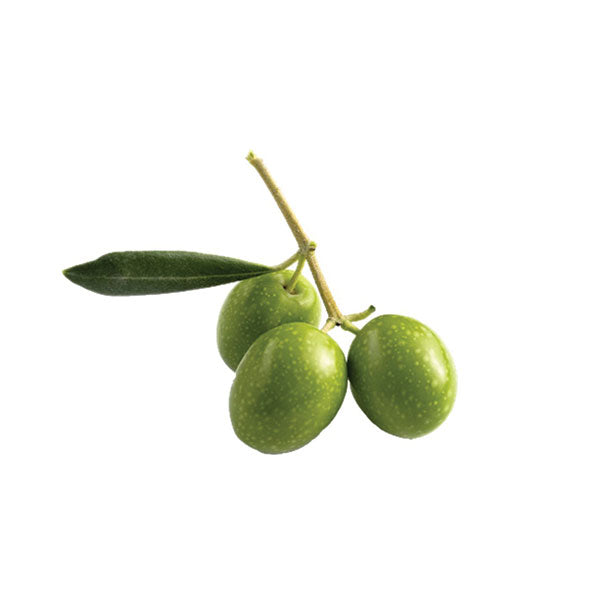 Jolpai (Olive) 300g