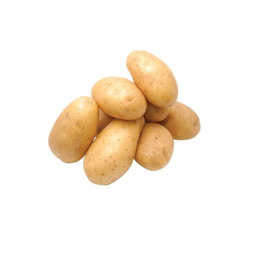 All Potato